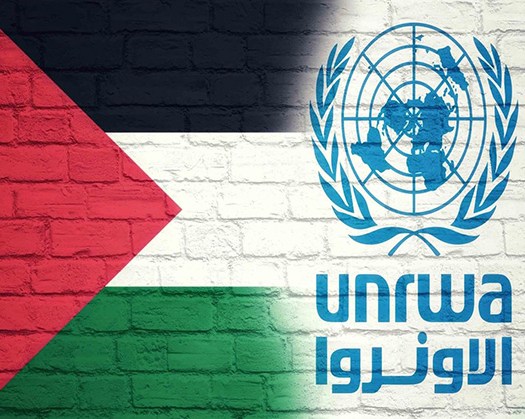 One In Every Five Children In Gaza Suffers From Malnutrition: UNRWA