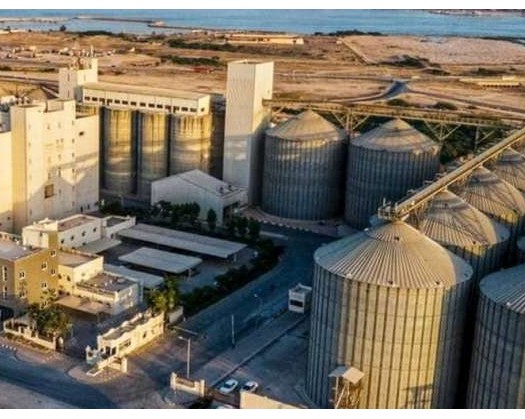 Salalah Mills Signs Agreement To Import 110,000 Tonnes Of Russian Wheat