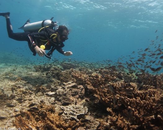 SeaOman Instructors Gain PADI Certifications As Company Named Winner Of Tripadvisor Travelers’ Choice Award 2024