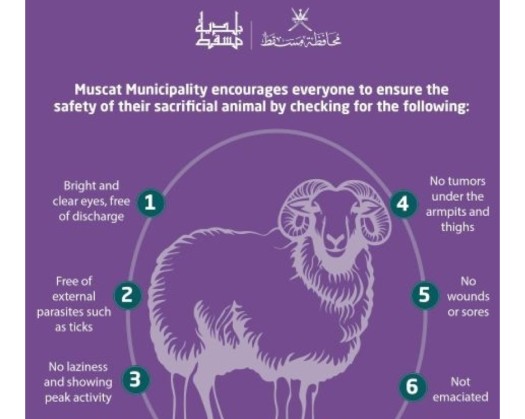 Use Municipal Slaughterhouses For Eid